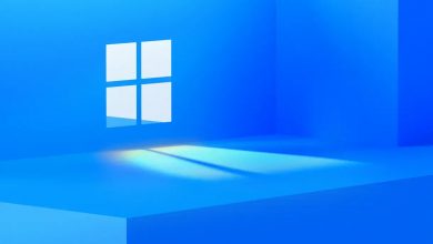 actualizare Windows10 windows 11