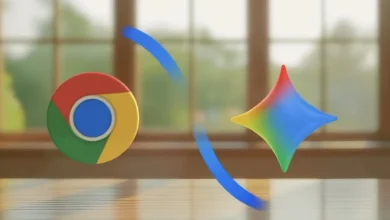 Google Chrome