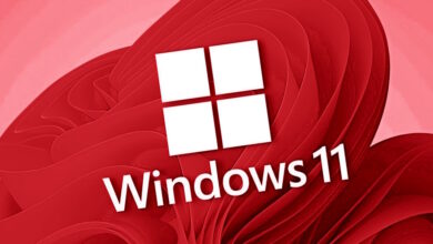 Windows 11