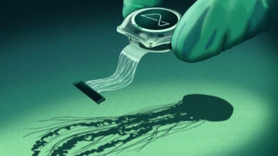Neuralink implant