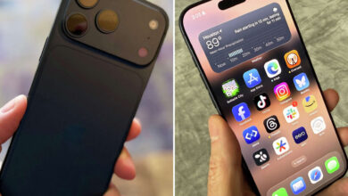 Apple iPhone Max