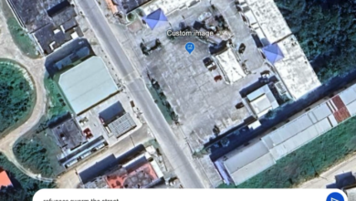 Google Earth AI image tool
